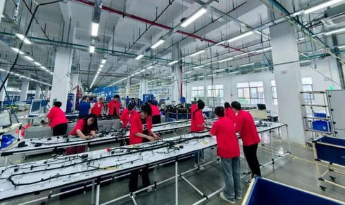 商洛高新区弗迪科技线束工厂四期投产 以网络技术服务赋能汽车产业高质量发展